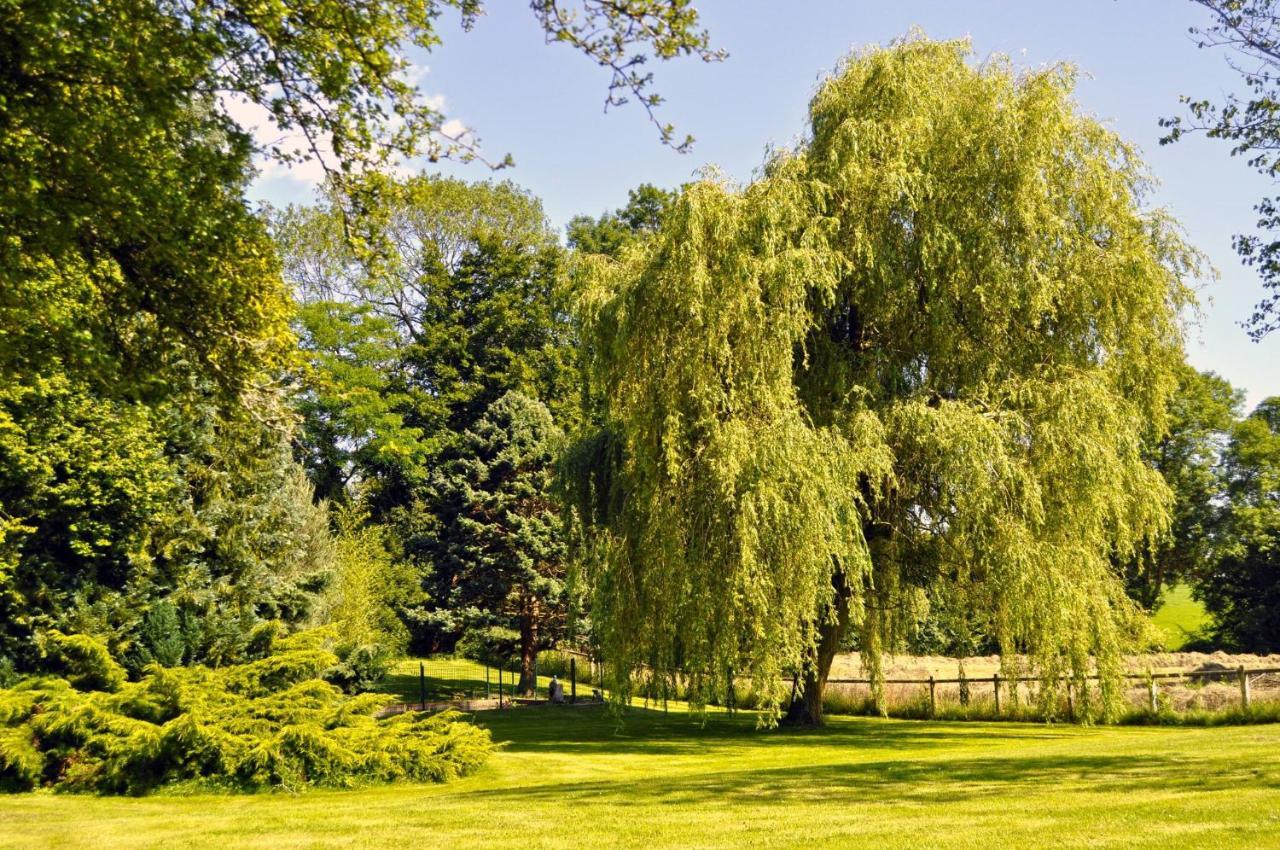 Vila Gite La Normande Etreville Exteriér fotografie